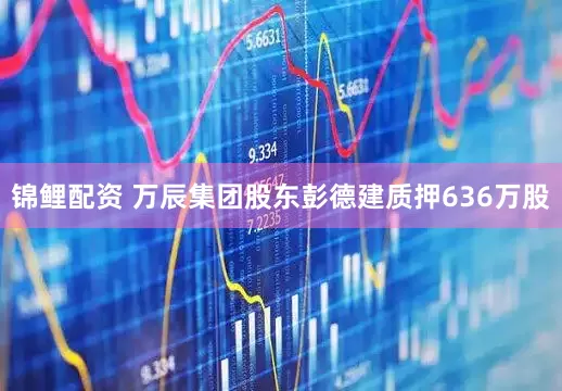 锦鲤配资 万辰集团股东彭德建质押636万股