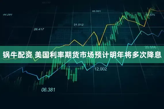 锅牛配资 美国利率期货市场预计明年将多次降息