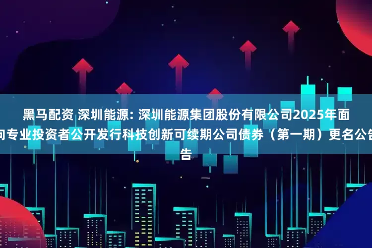黑马配资 深圳能源: 深圳能源集团股份有限公司2025年面向专业投资者公开发行科技创新可续期公司债券（第一期）更名公告