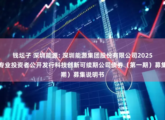 钱坛子 深圳能源: 深圳能源集团股份有限公司2025年面向专业投资者公开发行科技创新可续期公司债券（第一期）募集说明书