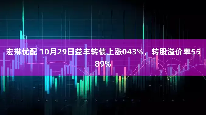 宏琳优配 10月29日益丰转债上涨043%，转股溢价率5589%